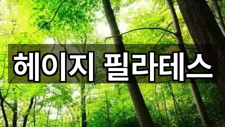 헤이지 필라테스