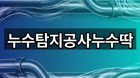 누수탐지공사누수딱