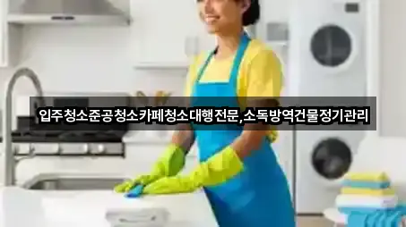 입주청소준공청소카페청소대행전문,소독방역건물정기관리