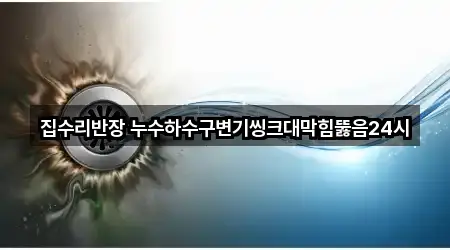 집수리반장 누수하수구변기씽크대막힘뚫음24시
