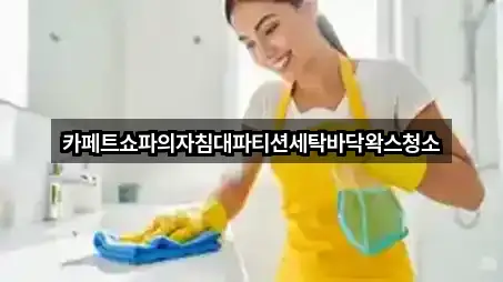 카페트쇼파의자침대파티션세탁바닥왁스청소