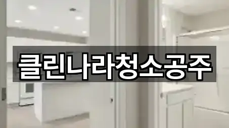 클린나라청소공주