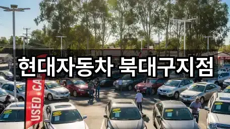 현대자동차 북대구지점