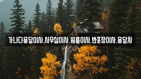 가나다용달이사.사무실이사.원룸이사.반포장이사.용달차