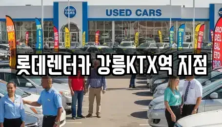 강원 강릉시 포남동 렌트카 전문 롯데렌터카 강릉KTX역 지점