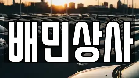 강원 강릉시 포남동 중고차매매 전문 배민상사