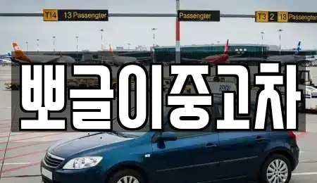 강원 고성군 죽왕면 중고차 전문 뽀글이중고차