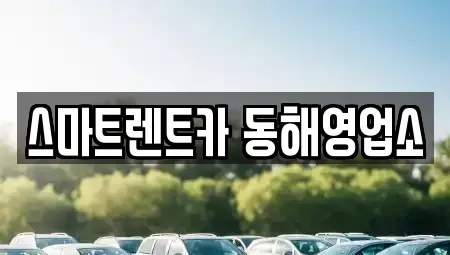 강원 동해시 동회동 단기렌트카,중고차매입,중고차매매,중고차,렌트카,장기렌트카
