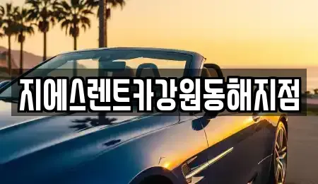 강원 동해시 동회동 렌트카 전문 지에스렌트카강원동해지점