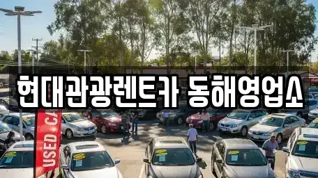 강원 동해시 동회동 렌트카 전문 현대관광렌트카 동해영업소