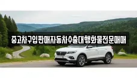 강원 동해시 동회동 중고차매매 전문 중고차구입판매자동차수출대행화물전문매매