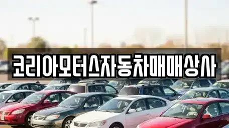 강원 동해시 동회동 중고차매매 전문 코리아모터스자동차매매상사