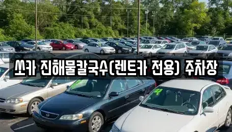 강원 삼척시 당저동 렌트카 전문 쏘카 진해물칼국수(렌트카 전용) 주차장