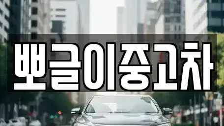강원 영월군 산솔면 중고차매매 전문 뽀글이중고차