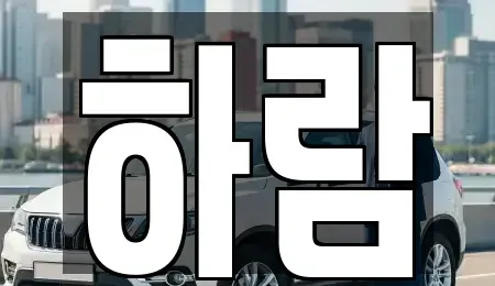 강원 원주시 단구동 장기렌트카 전문 하람