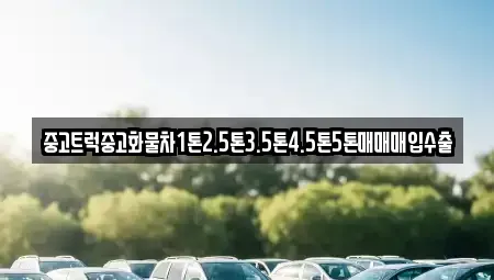 강원 원주시 단구동 중고차 전문 중고트럭중고화물차1톤2.5톤3.5톤4.5톤5톤매매매입수출