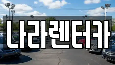 강원 원주시 소초면 렌트카 전문 나라렌터카