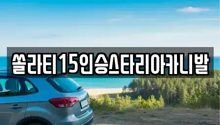 강원 원주시 소초면 렌트카 전문 쏠라티15인승스타리아카니발