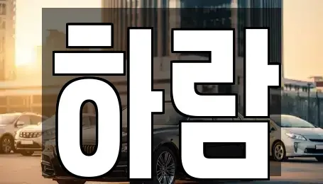 강원 원주시 소초면 장기렌트카 전문 하람