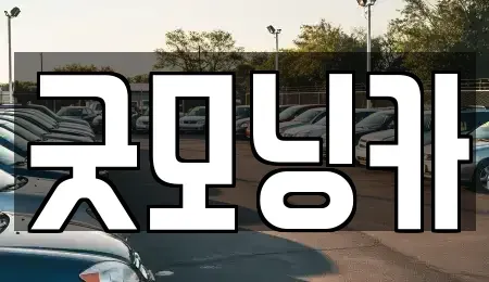 강원 춘천시 낙원동 중고차매매 전문 굿모닝카