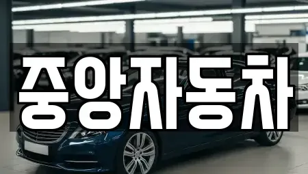 강원 춘천시 신북읍 중고차 전문 중앙자동차