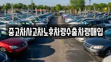 강원 춘천시 신북읍 중고차매입 전문 중고차사고차노후차량수출차량매입