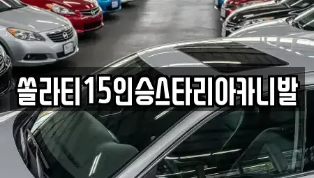 강원 춘천시 운교동 렌트카 전문 쏠라티15인승스타리아카니발