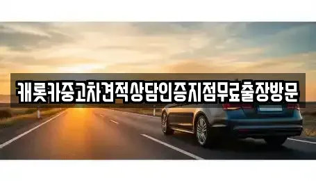 강원 춘천시 조양동 중고차매매 전문 캐롯카중고차견적상담인증지점무료출장방문