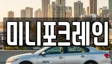 강원 홍천군 두촌면 중고차 전문 미니포크레인
