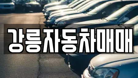 강원특별자치도 강릉시 유산동 중고차매매 전문 강릉자동차매매