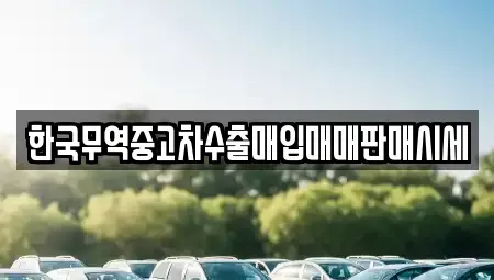 강원특별자치도 강릉시 유산동 중고차매입 전문 한국무역중고차수출매입매매판매시세