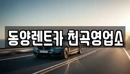 강원특별자치도 동해시 지흥동 렌트카 전문 동양렌트카 천곡영업소