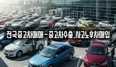 강원특별자치도 동해시 지흥동 중고차 전문 전국중고차매매-중고차수출,사고노후차매입