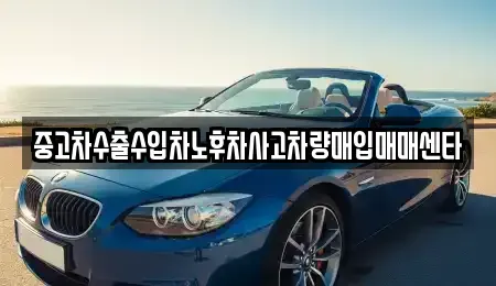 강원특별자치도 동해시 지흥동 중고차매입 전문 중고차수출수입차노후차사고차량매입매매센타