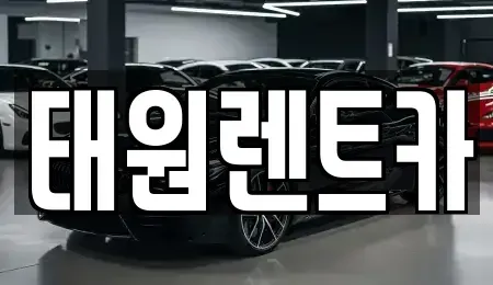 강원특별자치도 속초시 노학동 렌트카 전문 태원렌트카
