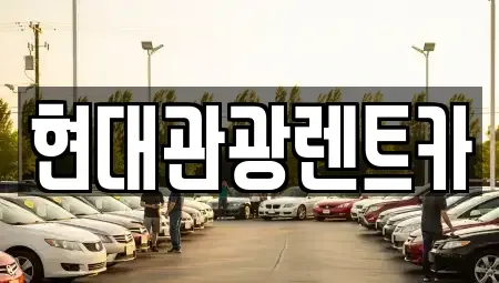 강원특별자치도 속초시 노학동 렌트카 전문 현대관광렌트카