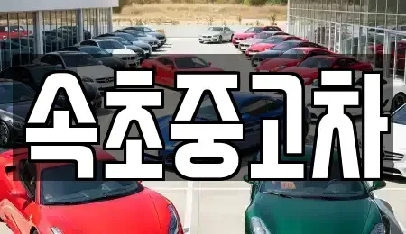 강원특별자치도 속초시 노학동 중고차매매 전문 속초중고차