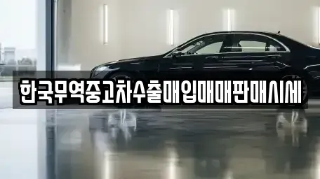 강원특별자치도 속초시 노학동 중고차매입 전문 한국무역중고차수출매입매매판매시세