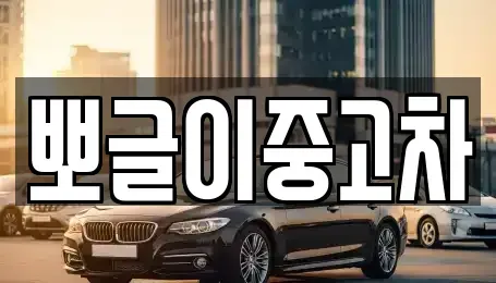 강원특별자치도 속초시 대포동 중고차 전문 뽀글이중고차