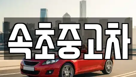 강원특별자치도 속초시 대포동 중고차 전문 속초중고차
