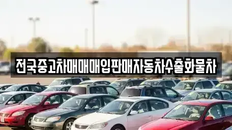 강원특별자치도 속초시 대포동 중고차 전문 전국중고차매매매입판매자동차수출화물차