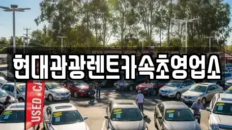 강원특별자치도 속초시 청호동 렌트카 전문 현대관광렌트카속초영업소