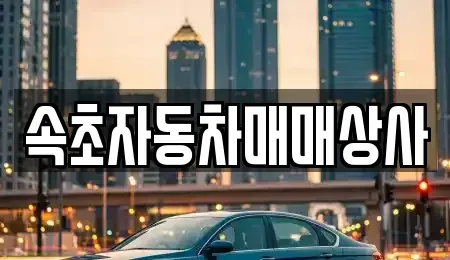 강원특별자치도 속초시 청호동 중고차매매,단기렌트카,중고차매입,장기렌트카,중고차,렌트카