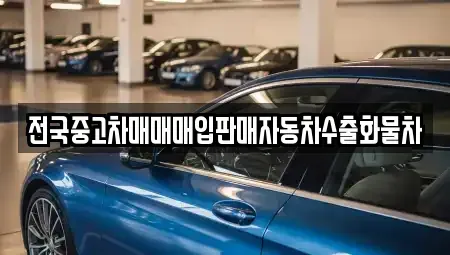 강원특별자치도 속초시 청호동 중고차매입 전문 전국중고차매매매입판매자동차수출화물차