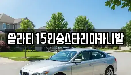 강원특별자치도 영월군 남면 렌트카 전문 쏠라티15인승스타리아카니발