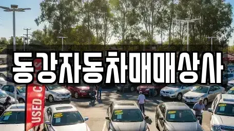 강원특별자치도 영월군 남면 중고차 전문 동강자동차매매상사
