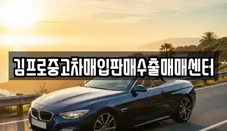 강원특별자치도 영월군 남면 중고차매입 전문 김프로중고차매입판매수출매매센터