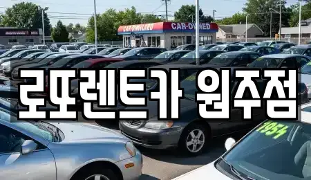 강원특별자치도 원주시 명륜동 장기렌트카 전문 로또렌트카 원주점