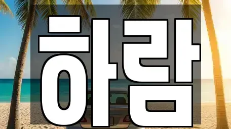 강원특별자치도 원주시 명륜동 장기렌트카 전문 하람