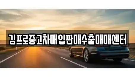 강원특별자치도 원주시 명륜동 중고차 전문 김프로중고차매입판매수출매매센터
